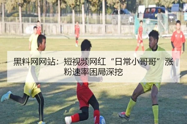 黑料网网站：短视频网红“日常小哥哥”涨粉速率困局深挖